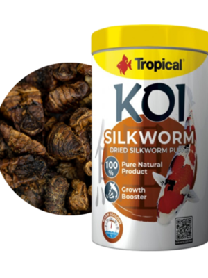 غذای حاوی شفیره کرم ابریشم کوی Koi Silkworm Dried Silkworm PupaeSize  تروپیکال