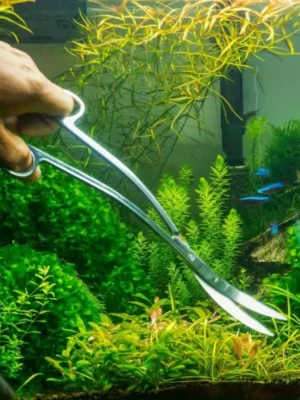 قیچی 30 سانتی S شکل آکواویترو - AQUA VITRO 30cm