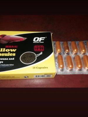 کپسول ضد انگل آروانا و سفره ماهی اوشن فری   YELLOW CAPSULES - MD353
